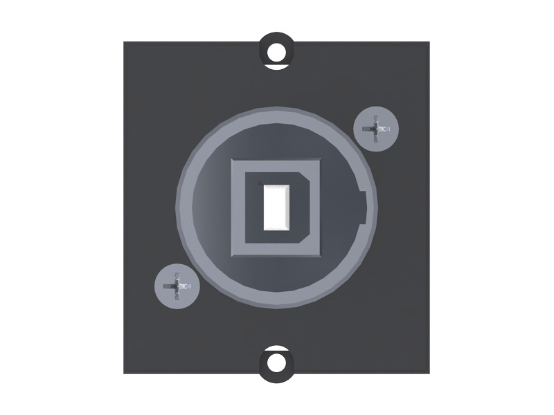 Bachmann Custom Modul 1x USB 2.0 B/A (917.019) Bachmann Custom Modul 1x USB 2.0 B/A (917.019)